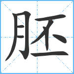 胚笔顺分解图片10