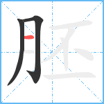 胚笔顺分解图片3