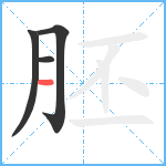 胚笔顺分解图片4