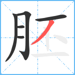 胚笔顺分解图片6