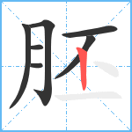 胚笔顺分解图片7