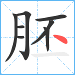 胚笔顺分解图片8