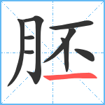 胚笔顺分解图片9