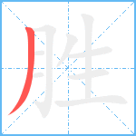 胜笔顺分解图片1