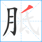 胝笔顺分解图片5