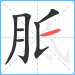 胝笔顺分解图片7