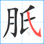 胝笔顺分解图片8