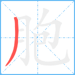 胞笔顺分解图片1