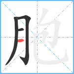 胞笔顺分解图片4