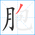 胞笔顺分解图片5