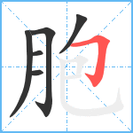 胞笔顺分解图片6