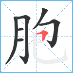 胞笔顺分解图片7