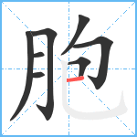 胞笔顺分解图片8