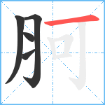 胢笔顺分解图片5