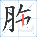 胣笔顺分解图片8