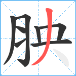 胦笔顺分解图片8