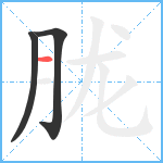 胧笔顺分解图片3