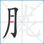 胧笔顺分解图片4