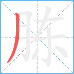 胨笔顺分解图片1