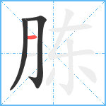 胨笔顺分解图片3