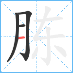 胨笔顺分解图片4