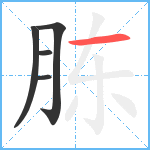 胨笔顺分解图片5