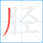 胫笔顺分解图片1