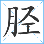 胫笔顺分解图片10