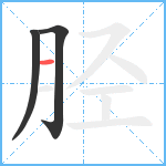 胫笔顺分解图片3