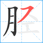 胫笔顺分解图片5