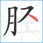 胫笔顺分解图片6