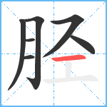 胫笔顺分解图片7