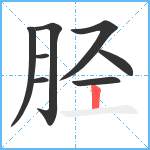 胫笔顺分解图片8