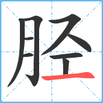 胫笔顺分解图片9