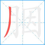 胭笔顺分解图片1