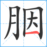 胭笔顺分解图片10