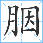 胭笔顺分解图片11