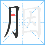 胭笔顺分解图片3