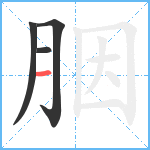 胭笔顺分解图片4