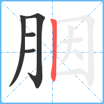 胭笔顺分解图片5