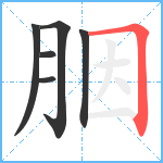 胭笔顺分解图片6