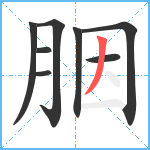 胭笔顺分解图片8