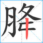 胮笔顺分解图片10