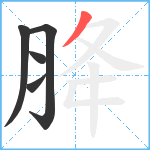 胮笔顺分解图片5