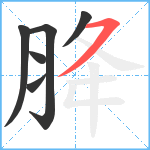 胮笔顺分解图片6