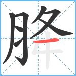 胮笔顺分解图片8