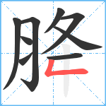 胮笔顺分解图片9