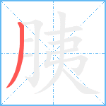 胰笔顺分解图片1