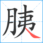 胰笔顺分解图片10