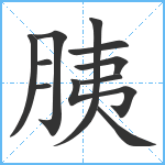 胰笔顺分解图片11